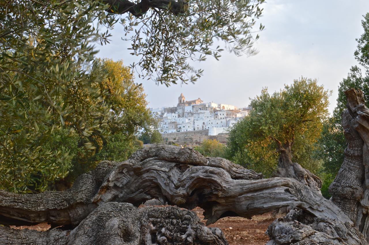 Casa Campari Daire Ostuni Dış mekan fotoğraf